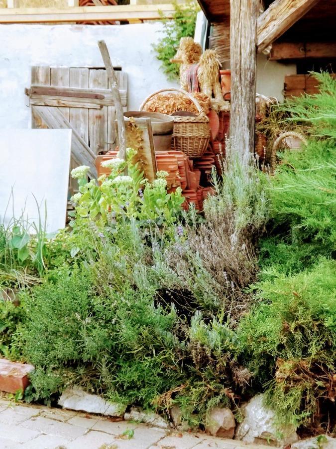 Hotel Mives Vendeghaz Pogány Exteriér fotografie