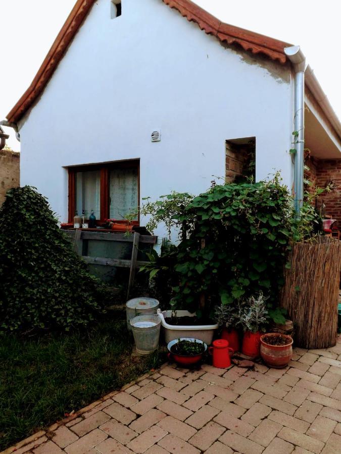 Hotel Mives Vendeghaz Pogány Exteriér fotografie