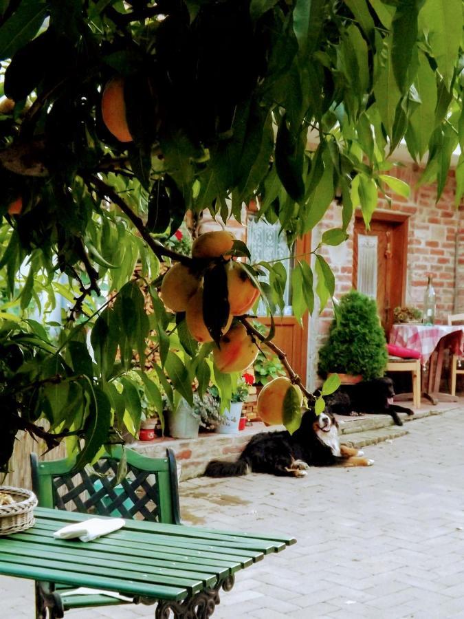 Hotel Mives Vendeghaz Pogány Exteriér fotografie